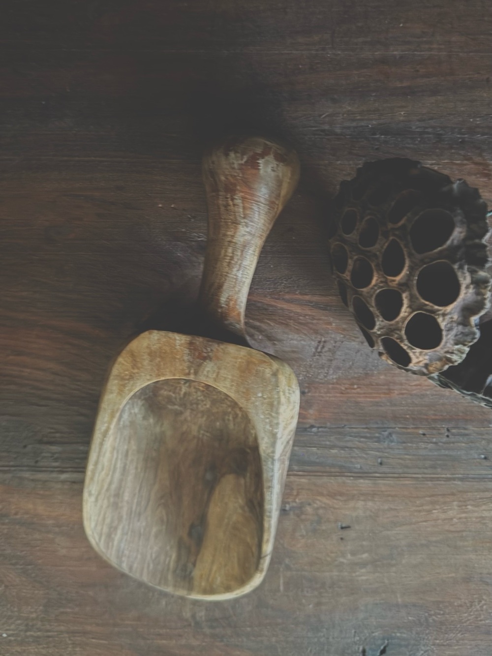 Olive Wood 8" Rustic Hand Carved Kitchen Scoop